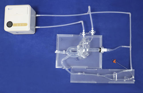 Modello vascolare di arterie coronarie - XXD003-01 - Trando 3D Medical Technology - di arteria carotide / per cardiochirurgia / didattico