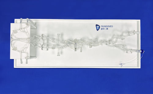 Modello vascolare di arteria - SJ001D-016 - Trando 3D Medical Technology - di vasi sanguigni / di addome / didattico