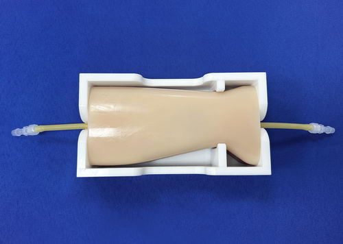 Modello vascolare di arteria femorale - GCC01-01 - Trando 3D Medical Technology - didattico / flessibile