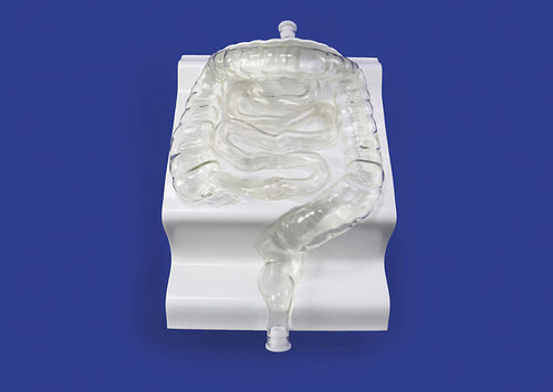 Modello vascolare di vasi sanguigni - CM001 - Trando 3D Medical Technology - didattico / trasparente / flessibile