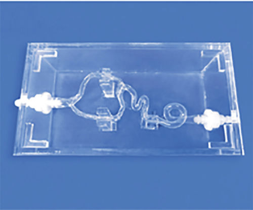 Modello vascolare di arteria - SJJ001D-01 - Trando 3D Medical Technology - di vasi sanguigni / didattico / trasparente