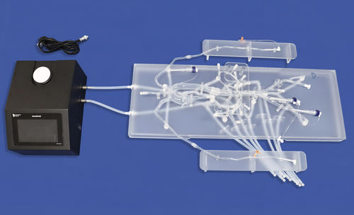 Modello vascolare di arteria femorale - FBD024 - Trando 3D Medical Technology - per arteria radiale / arteria iliaca / aorta addominale