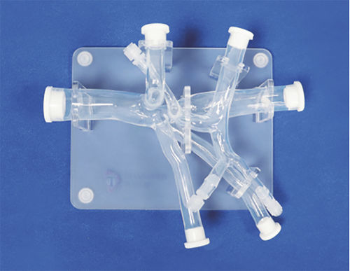 Modello vascolare addominale - FBD021 - Trando 3D Medical Technology - di vasi sanguigni / didattico / trasparente
