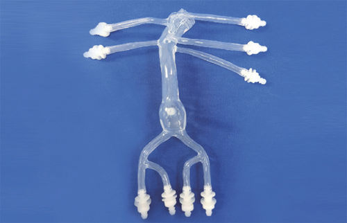 Modello vascolare addominale - FBD027 - Trando 3D Medical Technology - di vasi sanguigni / didattico / trasparente