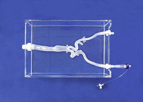Modello vascolare di vasi sanguigni - FBD011 - Trando 3D Medical Technology - arteria iliaca / didattico / trasparente