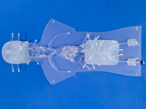 Modello anatomico per angiografia - QS002D-1 - Trando 3D Medical Technology - di arteria femorale / di arteria cerebrale anteriore (ACA) / di arterie coronarie