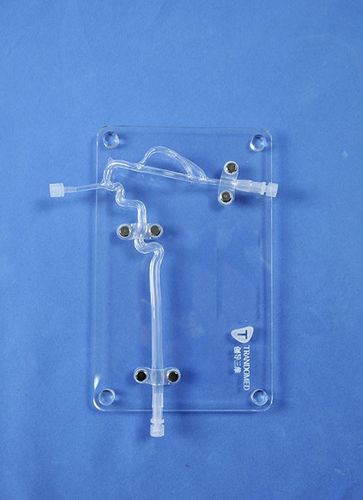 Modello anatomico di arteria - SJJ004D - Trando 3D Medical Technology - di arteria carotide / di vasi sanguigni / neurochirurgico