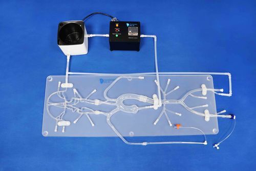 Pompa per simulazione medica - EDU-mini - Trando 3D Medical Technology - pulsatile / ad acqua