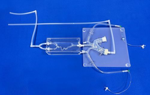 modello vascolare di vasi sanguigni - Trando 3D Medical Technology