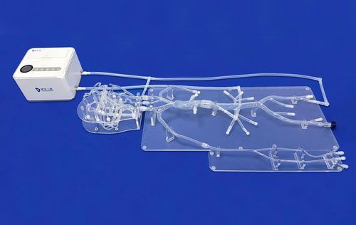 modello vascolare per neurologia - Trando 3D Medical Technology