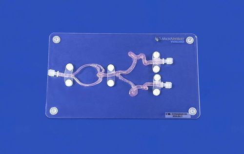 Modello vascolare cerebrale - SJX005D - Trando 3D Medical Technology - intracranico / di vasi sanguigni / neurochirurgico
