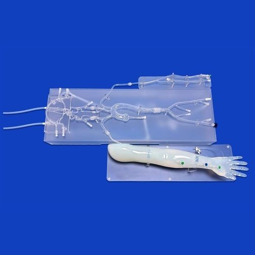 Modello vascolare di arteria cerebrale anteriore (ACA) - SJ001D-020 - Trando 3D Medical Technology - di arteria cerebrale media / di arteria intracranica / aorta addominale