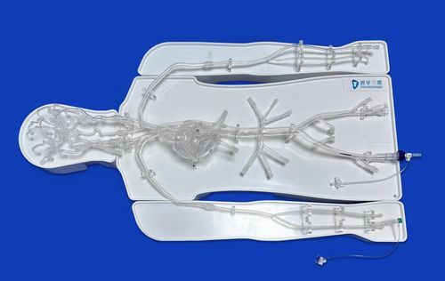 Modello vascolare intracranico - FAC007D - Trando 3D Medical Technology - di cuore / di addome / toracico