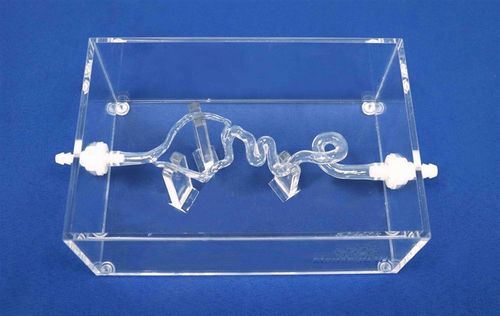 Modello vascolare di arteria carotide - SJJ001D-01 - Trando 3D Medical Technology - di carotide interna / di arteria cerebrale anteriore (ACA) / di arteria cerebrale media