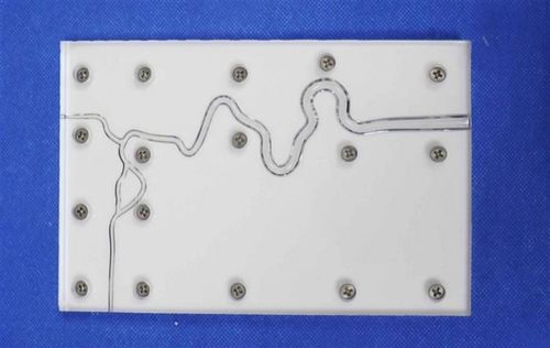 Modello vascolare di carotide interna - SJX004 - Trando 3D Medical Technology - di arteria cerebrale anteriore (ACA) / di arteria cerebrale media / in silicone