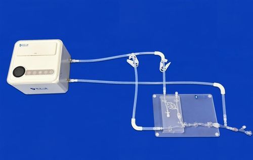 Modello vascolare di cervello - SJV010 - Trando 3D Medical Technology - cerebrale / intracranico / di arteria