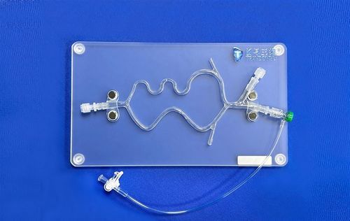 Modello vascolare di sistema nervoso - SJV015 - Trando 3D Medical Technology - di cervello / cerebrale / intracranico