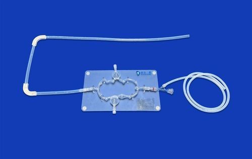 Modello vascolare di sistema nervoso - SJV008 - Trando 3D Medical Technology - di cervello / cerebrale / intracranico