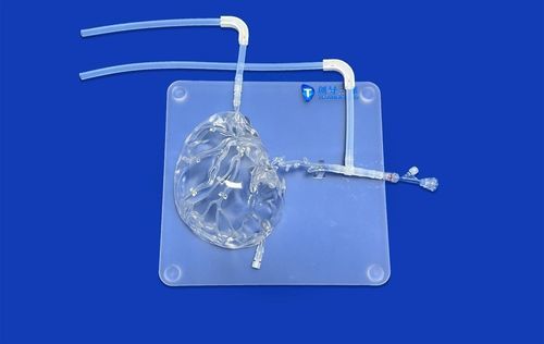 Modello vascolare di cervello - SJV003 - Trando 3D Medical Technology - cerebrale / di cranio / intracranico