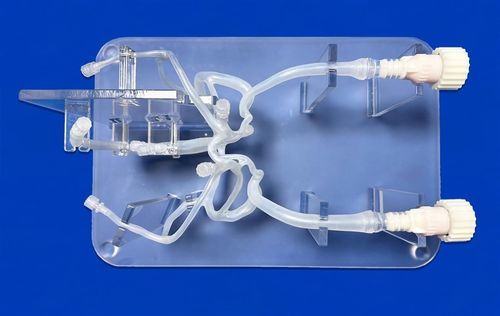 Modello vascolare di sistema nervoso - SJV007 - Trando 3D Medical Technology - di cervello / cerebrale / intracranico