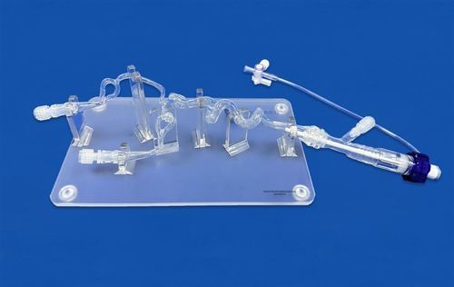 Modello vascolare intracranico - SJV021 - Trando 3D Medical Technology - di arteria carotide / di arteria cerebrale anteriore (ACA) / di arteria cerebrale media
