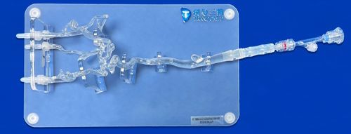 Modello vascolare di arteria carotide - SJV006 - Trando 3D Medical Technology - di arteria cerebrale anteriore (ACA) / di arteria cerebrale media / per cataterismo