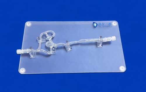 Modello vascolare di arteria cerebrale anteriore (ACA) - SJV002 - Trando 3D Medical Technology - di arteria cerebrale media / di carotide destra interna / di carotide sinistra interna