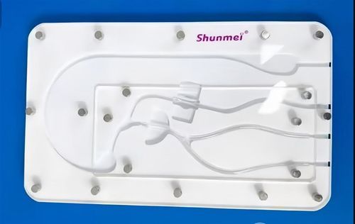 Modello vascolare di arterie coronarie - PCI Ⅰ - Trando 3D Medical Technology - per angioplastica coronarica / per posa di stent / per angioplastica coronarica