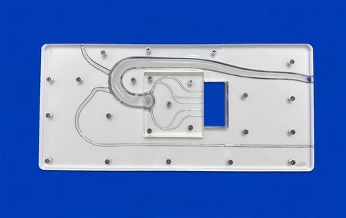 Modello vascolare di arterie coronarie - PCI Ⅱ - Trando 3D Medical Technology - per arteria radiale / di aorta toracica / per angioplastica coronarica