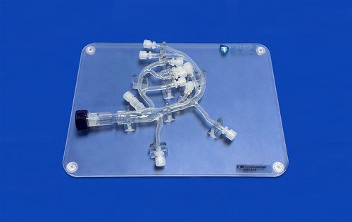 Modello anatomico di cuore - XXS018 - Trando 3D Medical Technology - di vena / di vena cardiaca / in silicone
