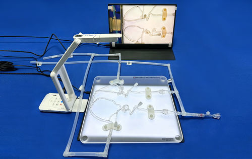 Modello vascolare di sistema nervoso - FAC014D - Trando 3D Medical Technology - di vasi sanguigni / di arteria cerebrale / di cervello
