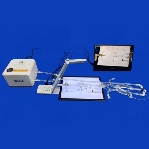 modello vascolare cerebrale - Trando 3D Medical Technology