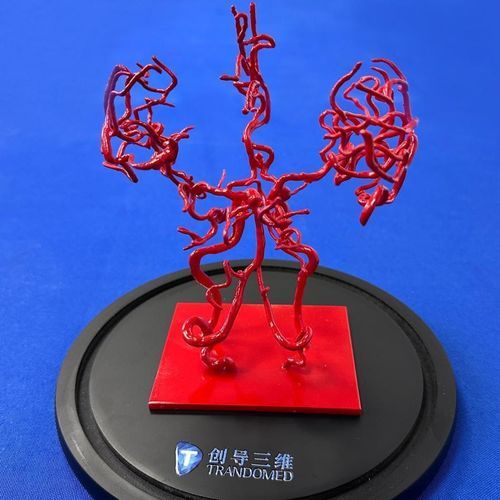 Modello vascolare cerebrale - YZ002 - Trando 3D Medical Technology - didattico / trasparente / flessibile