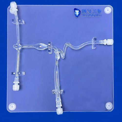 Modello vascolare di arteria carotide - SJX007 - Trando 3D Medical Technology - di vasi sanguigni / neurochirurgico / didattico
