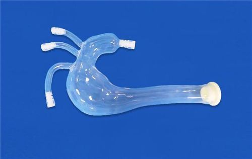 Modello vascolare di carotide comune sinistra - XXS009 - Trando 3D Medical Technology - di arteria sottoclaveare sinistra / di tronco arterioso brachiocefalico / di aorta toracica