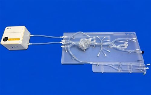 Modello vascolare di cuore - XXD001 - Trando 3D Medical Technology - di arteria femorale / di arterie coronarie / per arteria radiale