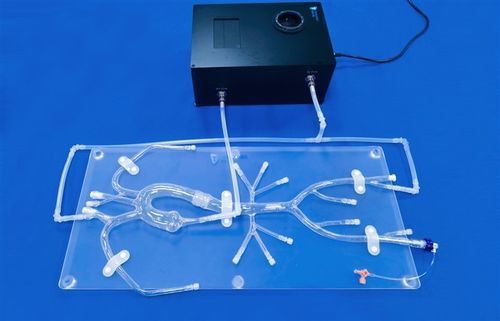 Modello vascolare di arteria sottoclaveare - Trando 3D Medical Technology - di arteria femorale / di aorta toracica / arteria iliaca