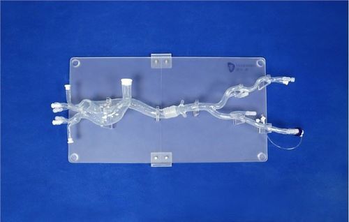 Modello vascolare di arteria femorale - XXD019 - Trando 3D Medical Technology - di aorta toracica / arteria iliaca / aorta addominale