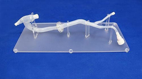 Modello vascolare di aorta toracica - XXD026 - Trando 3D Medical Technology - arteria iliaca / aorta addominale / di arteria femorale