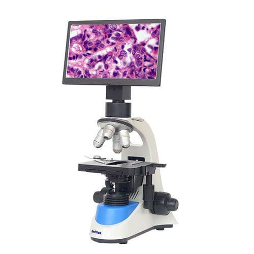 Videomicroscopio digitale - MSC-V208 - Infitek - da laboratorio / dritto / planacromatico