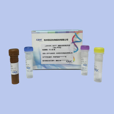 Kit di reagenti in soluzione - HangZhou KBM Life Sciences Co., Ltd. - per qPCR / per genotipizzazione / genetico