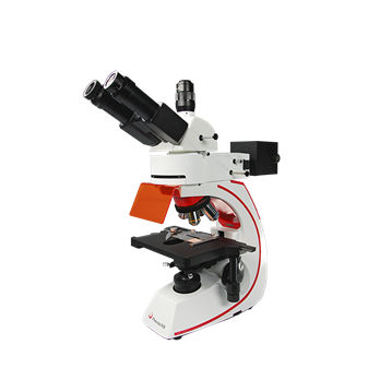 Microscopio a fluorescenza - BMC533-FLED-UVBG - Phenix Optics Co., Ltd. - ottico / da laboratorio / da ricerca