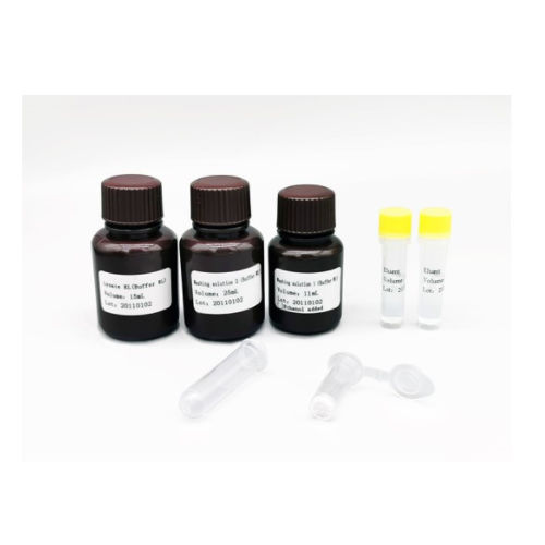 Kit di reagenti soluzione tampone - MABSKY BIO-TECH CO.，LTD - clinico / per PCR / per acidi nucleici