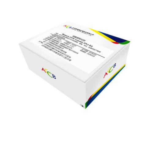 Kit di reagenti enzima - Biomark  - Beijing ACCB Biotech Ltd. - per estrazione di DNA / DNA genomico