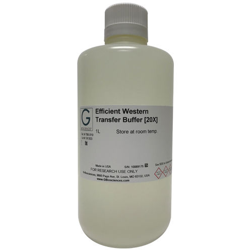 Reagente soluzione tampone - Efficient™ Western - G-BIOSCIENCES - in soluzione / da ricerca / di proteine