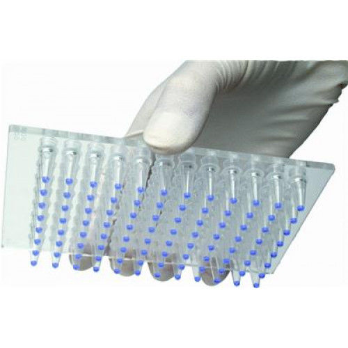 Reagente soluzione tampone - Enhancer™ - G-BIOSCIENCES - anticorpo / da ricerca / di proteine