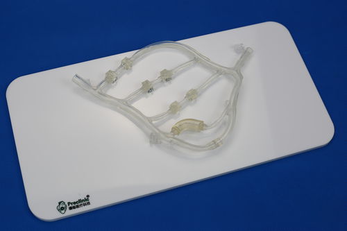 Modello vascolare di vasi sanguigni - PLXG1014 - Shanghai Preclinic Medtech - per cardiochirurgia