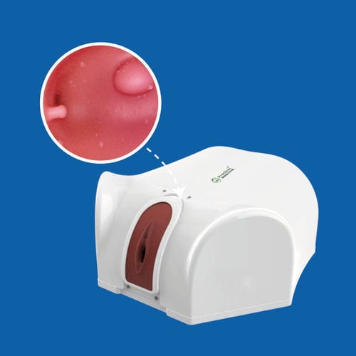 Simulatore di dimostrazione - PLGQ1001 - Shanghai Preclinic Medtech - di isteroscopia / per isteroscopia / didattico