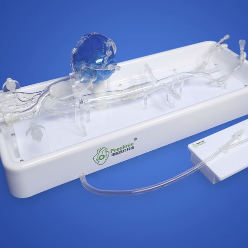 Modello vascolare di aorta toracica - PLXG1001 - Shanghai Preclinic Medtech - di cuore / di arteria femorale / per arteria radiale