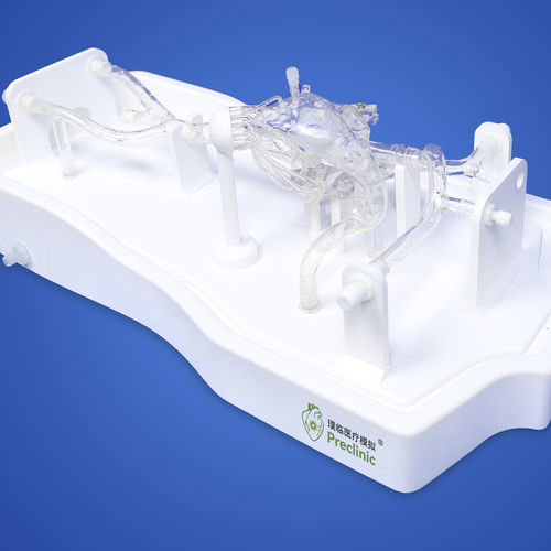 Modello vascolare di seno nasale - PLXG1011 - Shanghai Preclinic Medtech - cardiaco / di vena / di vena cava